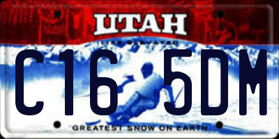 UT license plate C165DM