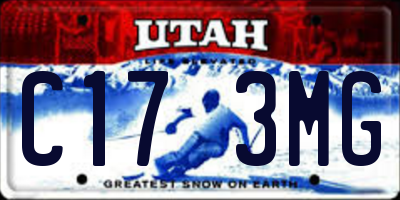 UT license plate C173MG