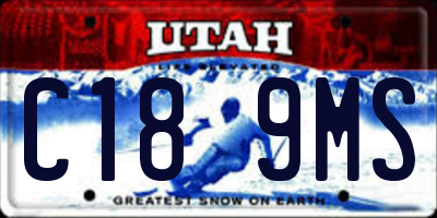 UT license plate C189MS