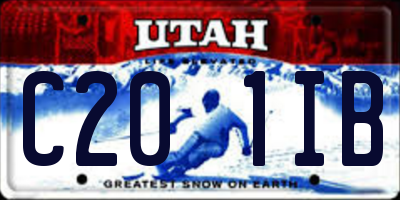UT license plate C201IB