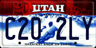 UT license plate C202LY