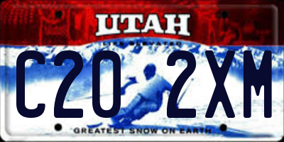 UT license plate C202XM