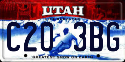 UT license plate C203BG