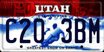 UT license plate C203BM