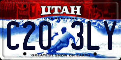 UT license plate C203LY