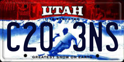 UT license plate C203NS