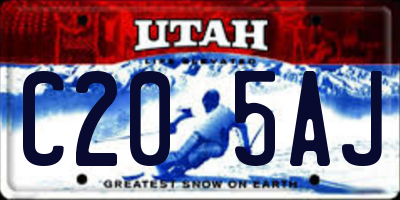 UT license plate C205AJ
