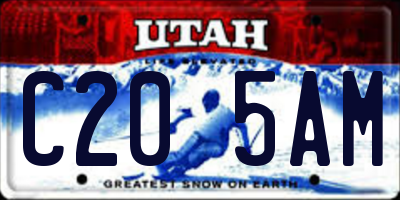 UT license plate C205AM