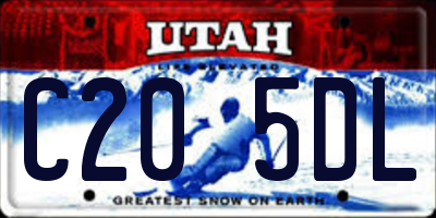 UT license plate C205DL