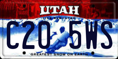 UT license plate C205WS