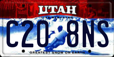 UT license plate C208NS