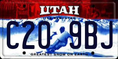 UT license plate C209BJ