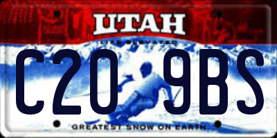 UT license plate C209BS