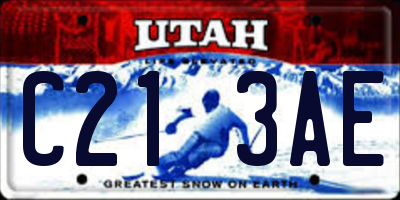 UT license plate C213AE
