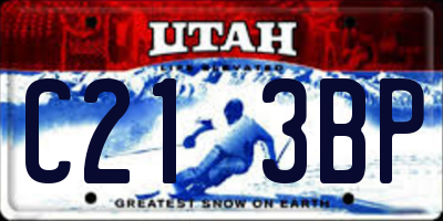 UT license plate C213BP