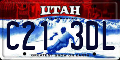 UT license plate C213DL
