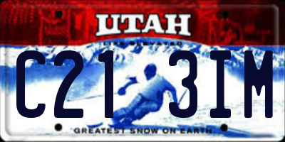 UT license plate C213IM