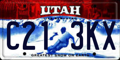 UT license plate C213KX