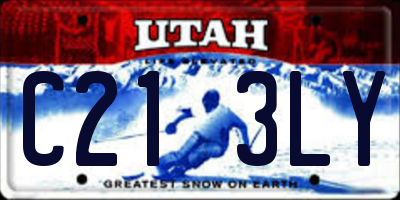 UT license plate C213LY