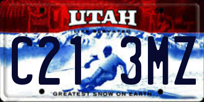 UT license plate C213MZ