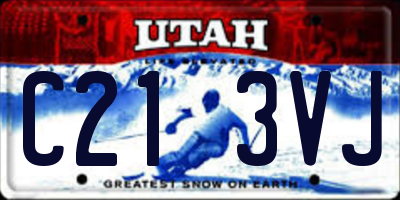 UT license plate C213VJ