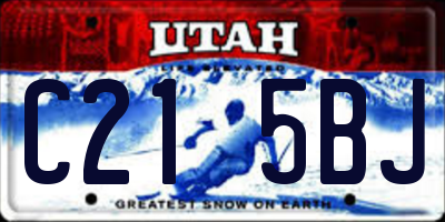 UT license plate C215BJ