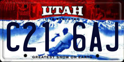 UT license plate C216AJ