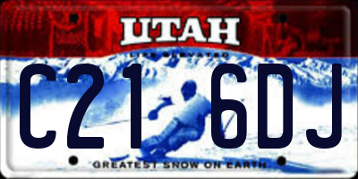 UT license plate C216DJ