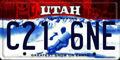 UT license plate C216NE