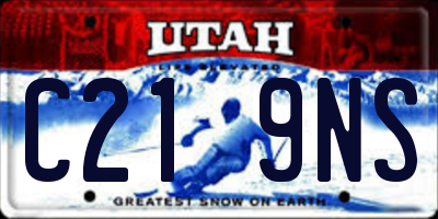 UT license plate C219NS