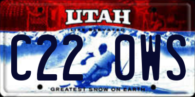 UT license plate C220WS