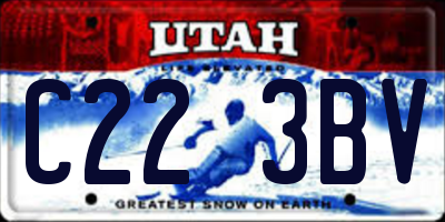 UT license plate C223BV