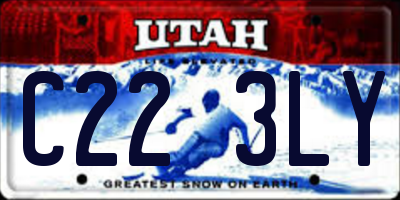 UT license plate C223LY