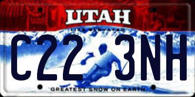 UT license plate C223NH