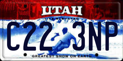 UT license plate C223NP