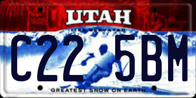 UT license plate C225BM