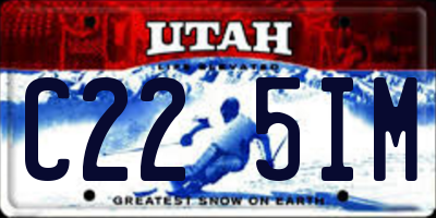 UT license plate C225IM