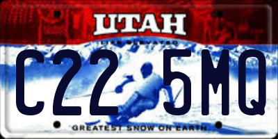 UT license plate C225MQ