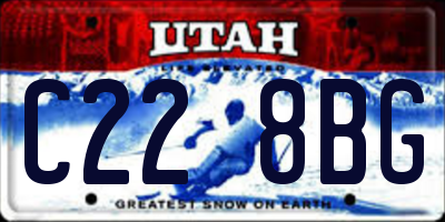 UT license plate C228BG