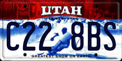 UT license plate C228BS