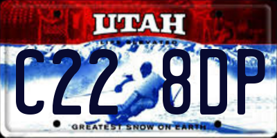 UT license plate C228DP