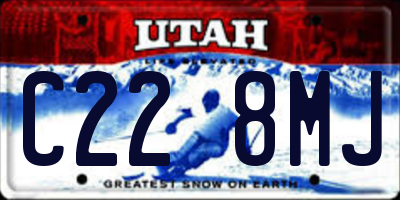UT license plate C228MJ