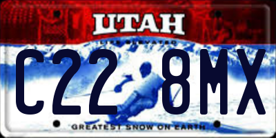 UT license plate C228MX