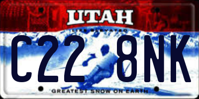 UT license plate C228NK