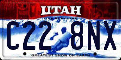 UT license plate C228NX