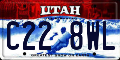 UT license plate C228WL