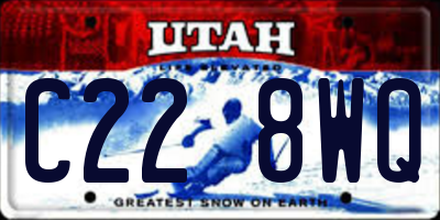 UT license plate C228WQ