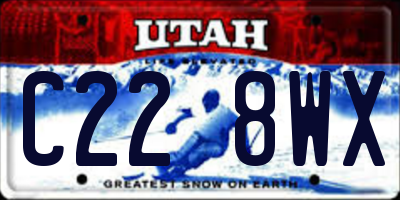 UT license plate C228WX
