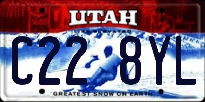 UT license plate C228YL