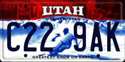 UT license plate C229AK